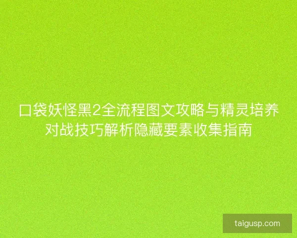 口袋妖怪黑2全流程图文攻略与精灵培养对战技巧解析隐藏要素收集指南
